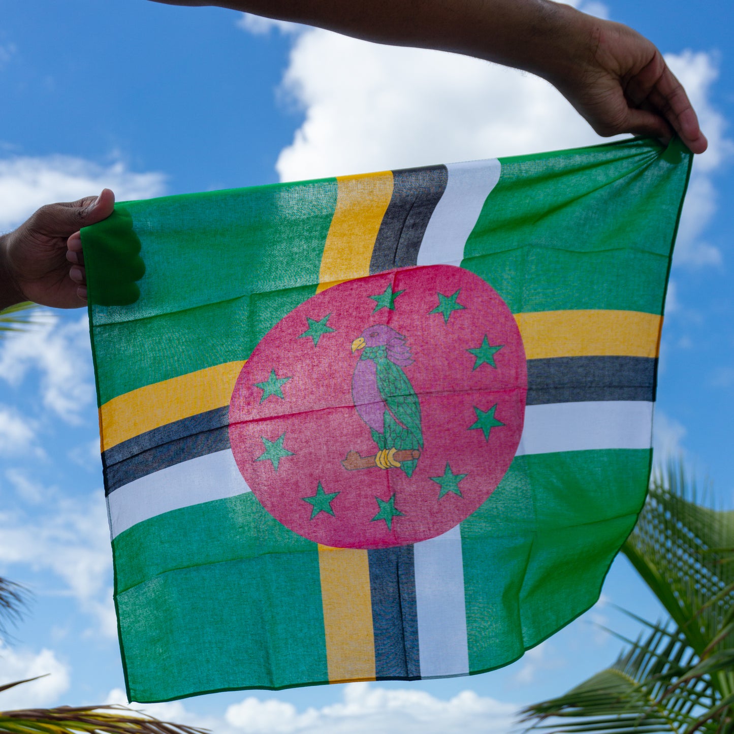 DRAPEAU ET BANDANA DOMINIQUE