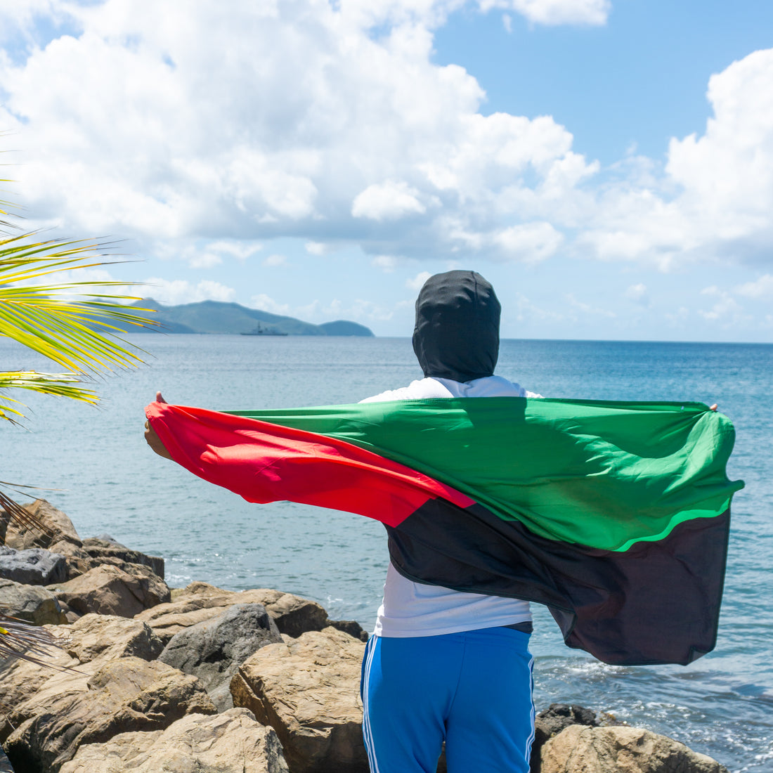 MARTINIQUE : COMMANDEZ VOTRE DRAPEAU