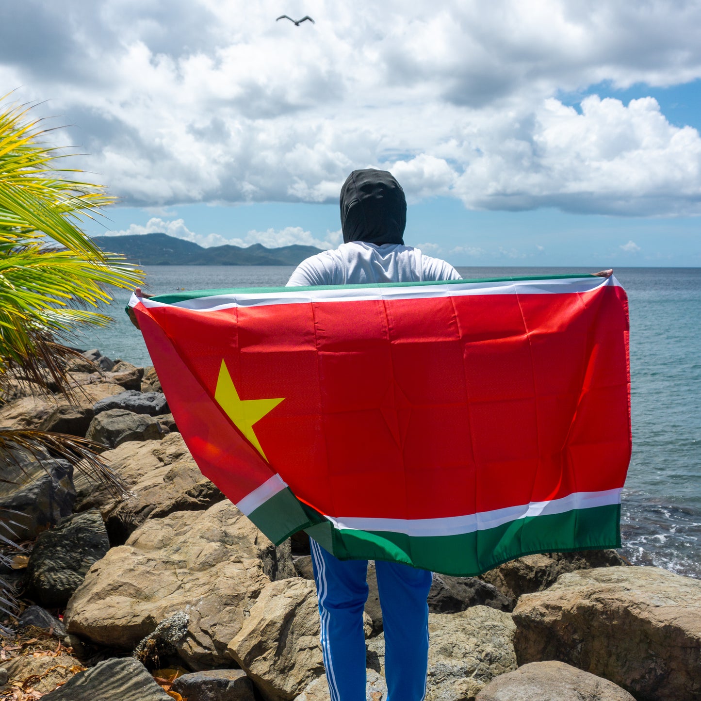 DRAPEAU ET BANDANA GUADELOUPE